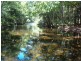 Shannonvale QLD 4873