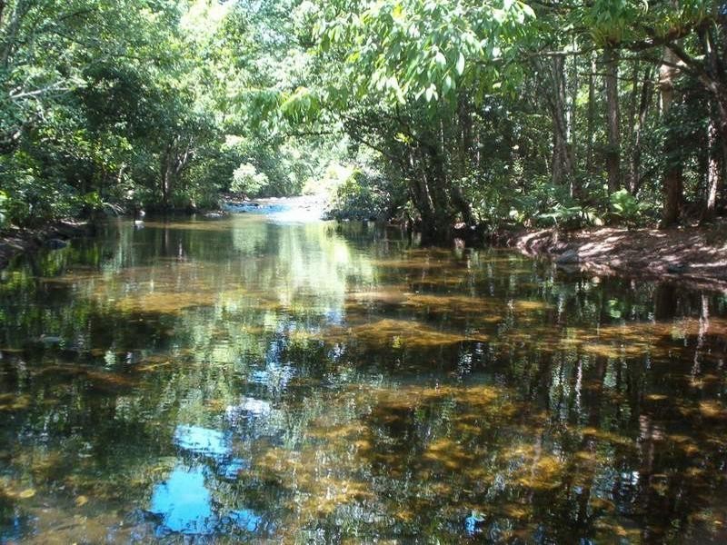 Shannonvale QLD 4873