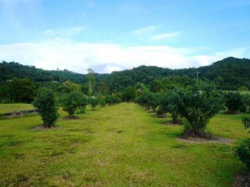 Lot 5 Mijo Road, Miallo QLD 4873