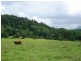 Whyanbeel QLD 4873