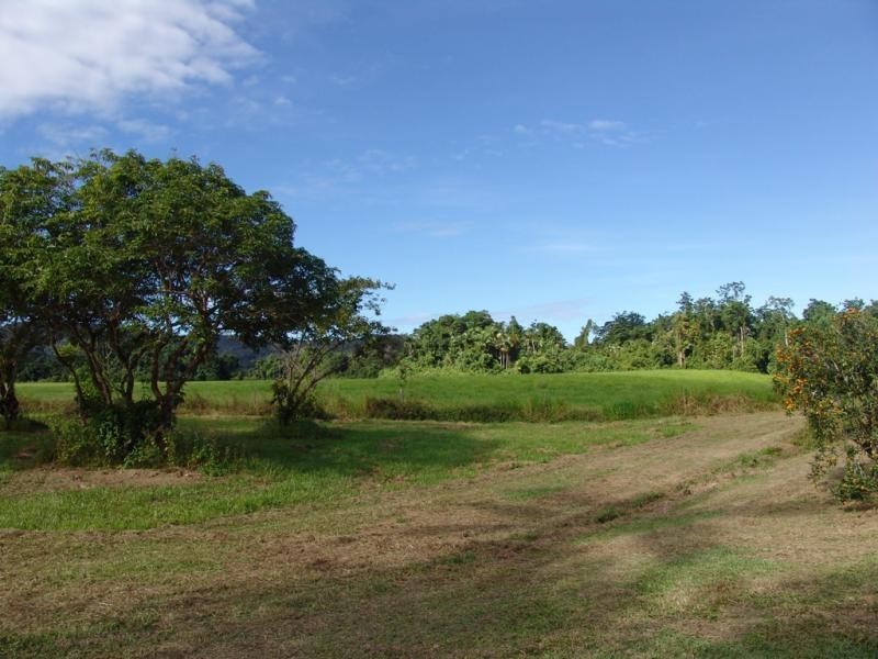 Lot 5 Miallo-Bamboo Creek Rd, Miallo QLD 4873