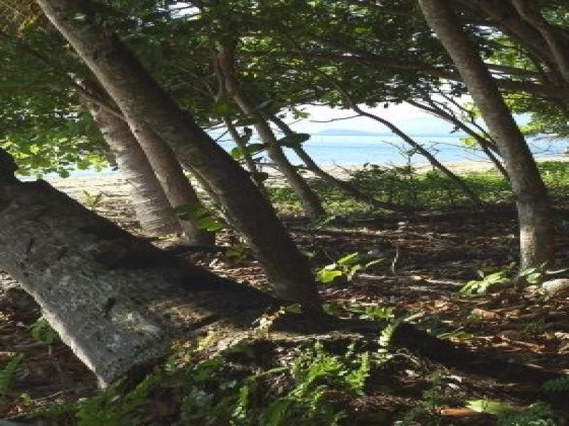 2 Bell’s Reef Close, Wonga Beach QLD 4873