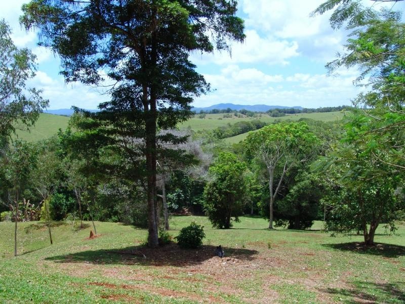 11 Rennie Close, Julatten QLD 4871