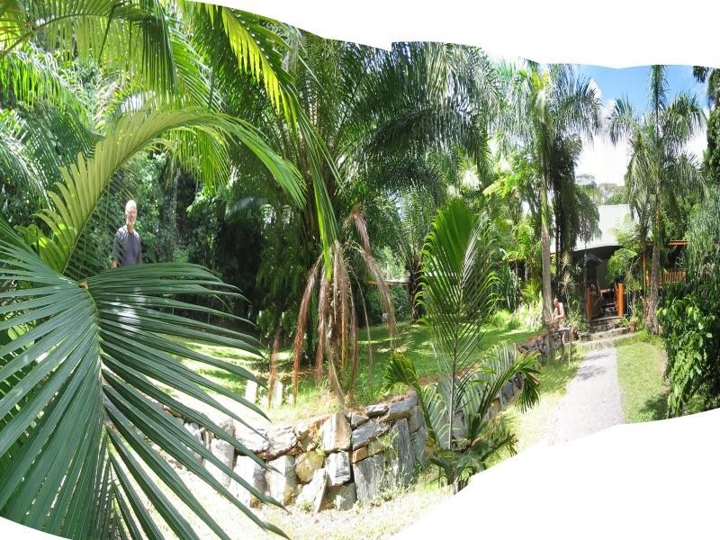 Lot 9 camalot close, Cape Tribulation QLD 4873