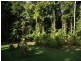 Daintree QLD 4873