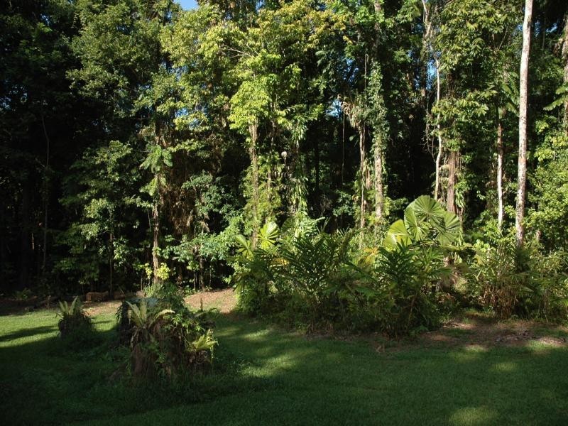 Daintree QLD 4873