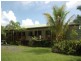 58 Palm Road, Daintree QLD 4873