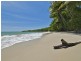 Cape Tribulation Road, Cape Tribulation QLD 4873