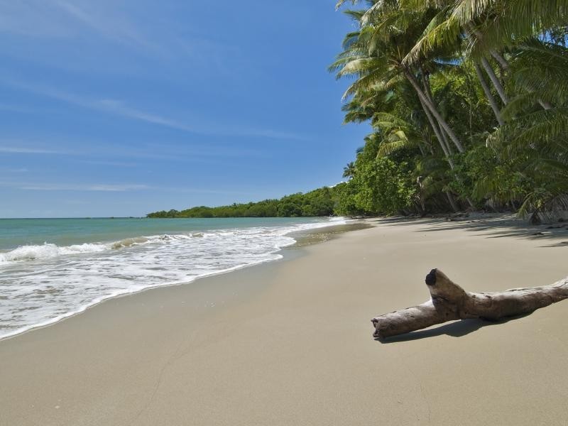 Cape Tribulation Road, Cape Tribulation QLD 4873