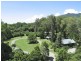 Cape Tribulation Road, Cape Tribulation QLD 4873