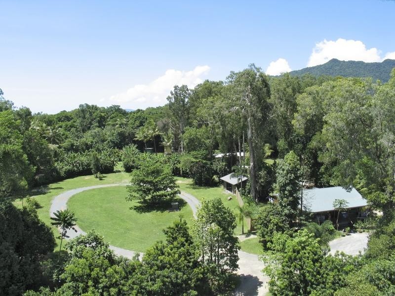 Cape Tribulation Road, Cape Tribulation QLD 4873