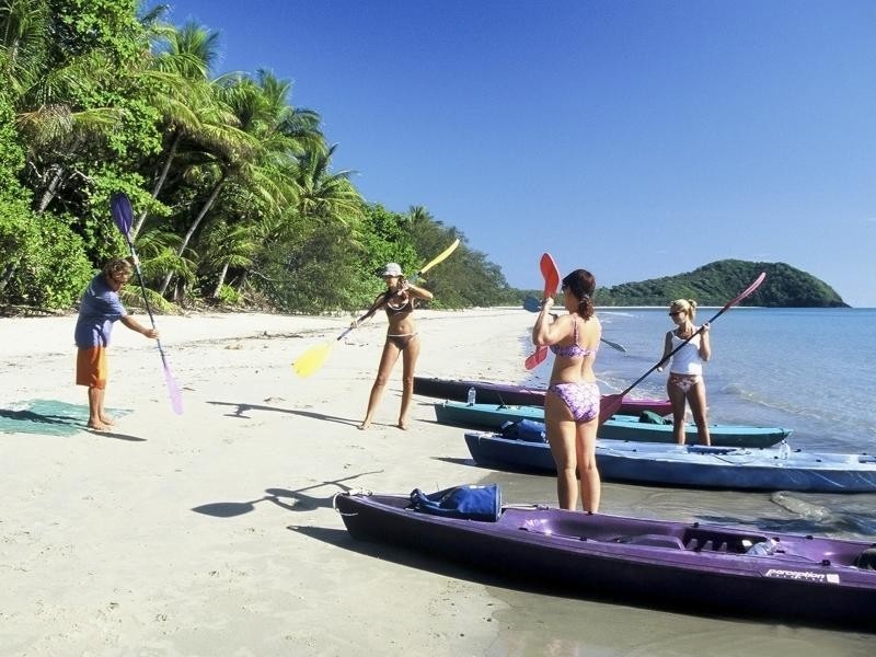 Cape Tribulation Road, Cape Tribulation QLD 4873