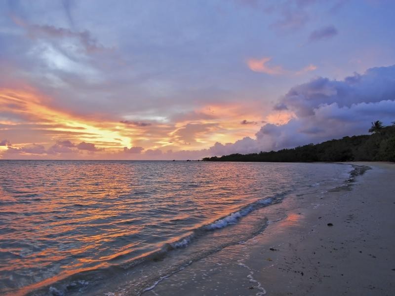 Cape Tribulation Road, Cape Tribulation QLD 4873