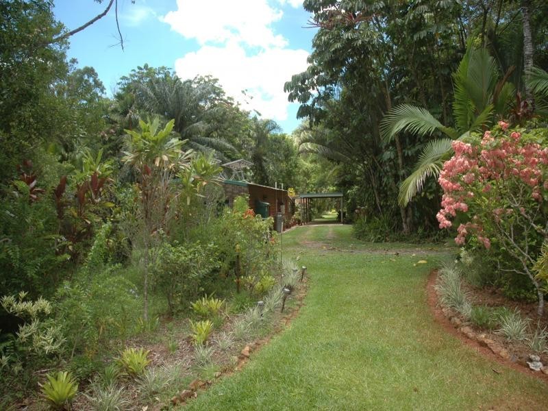 509 Silver Ash Road, Daintree QLD 4873