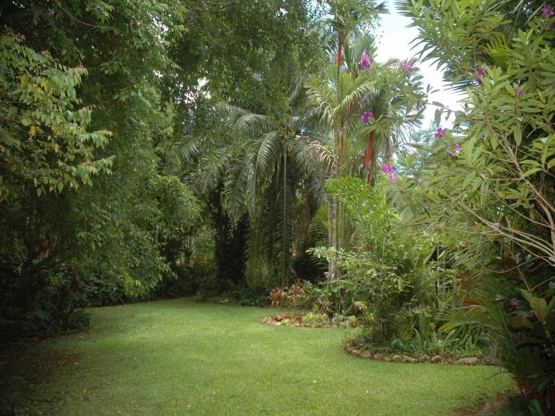 509 Silver Ash Road, Daintree QLD 4873