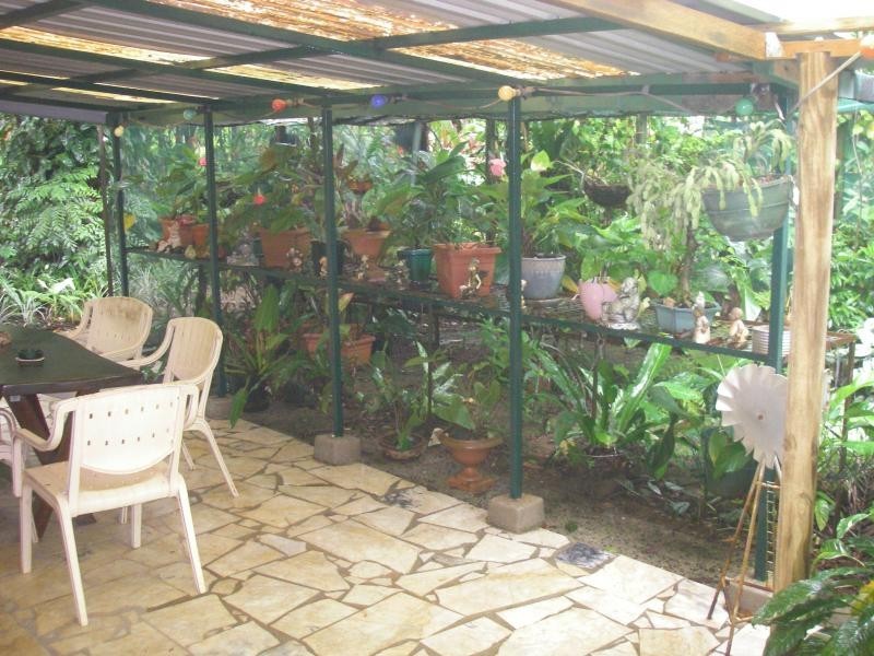 509 Silver Ash Road, Daintree QLD 4873