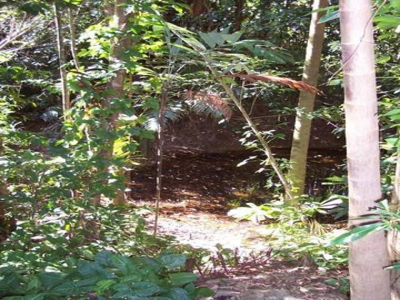 21 Thornton Peak Dr, Forest Creek QLD 4873