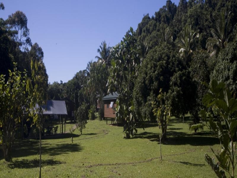 40 Spurwood Road, Daintree QLD 4873