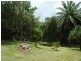 84 Cape Tribulation Road, Daintree QLD 4873
