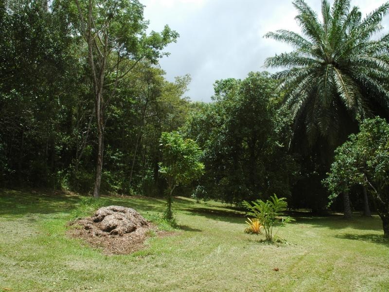 84 Cape Tribulation Road, Daintree QLD 4873