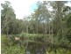 84 Cape Tribulation Road, Daintree QLD 4873