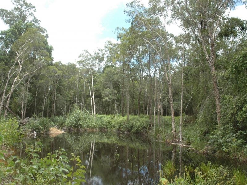 84 Cape Tribulation Road, Daintree QLD 4873