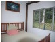 84 Cape Tribulation Road, Daintree QLD 4873