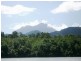 84 Cape Tribulation Road, Daintree QLD 4873