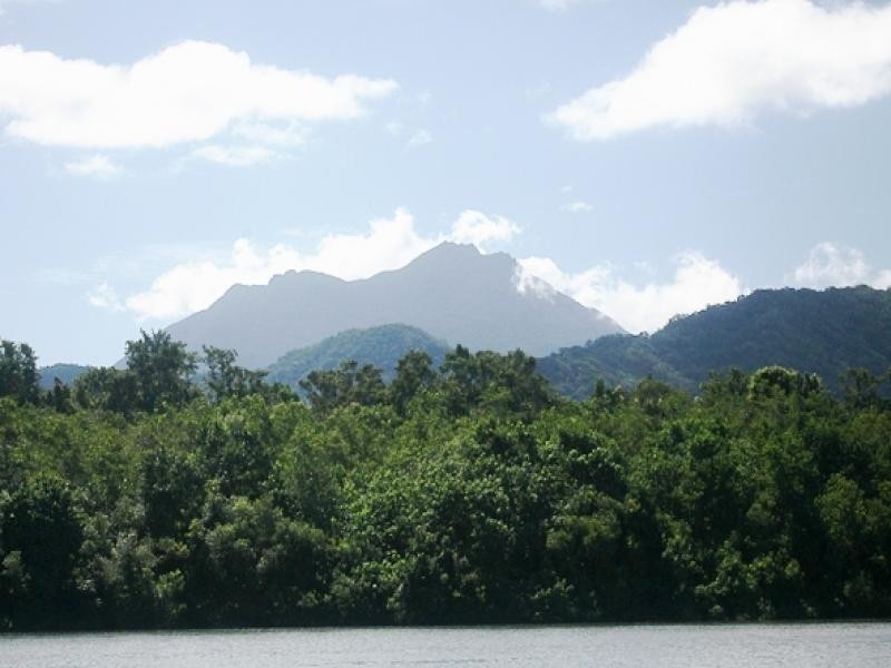 84 Cape Tribulation Road, Daintree QLD 4873