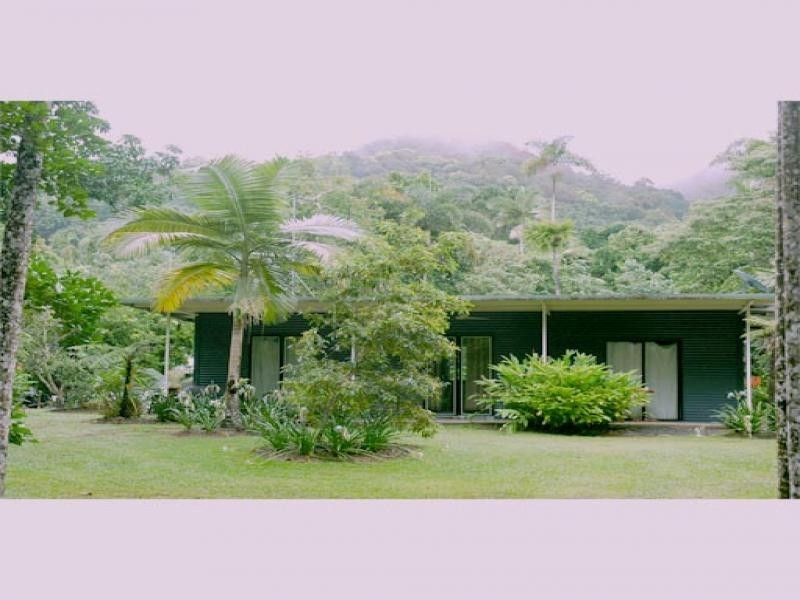 Cape Tribulation QLD 4873