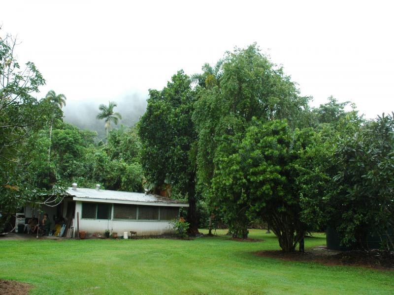 Daintree QLD 4873