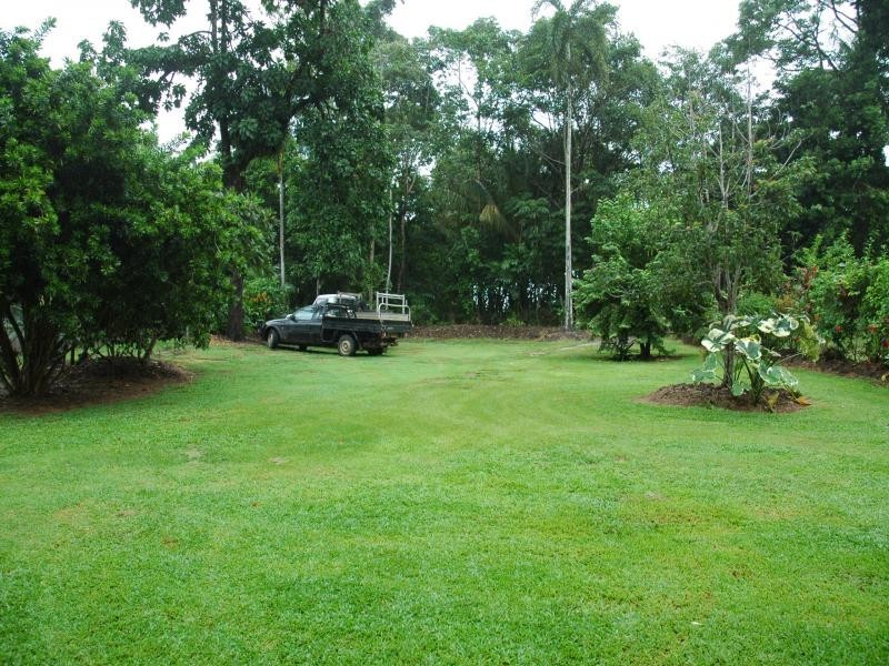 Daintree QLD 4873