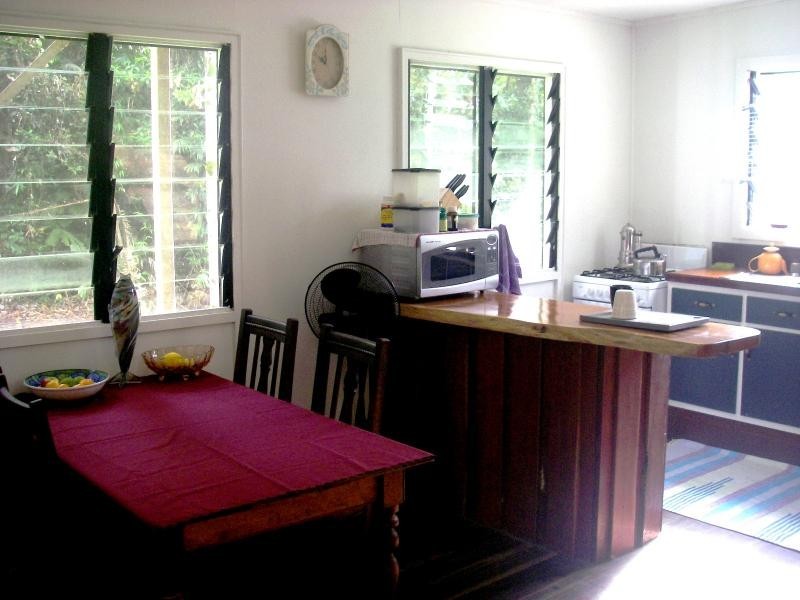 158 Candlenut Road, Daintree QLD 4873