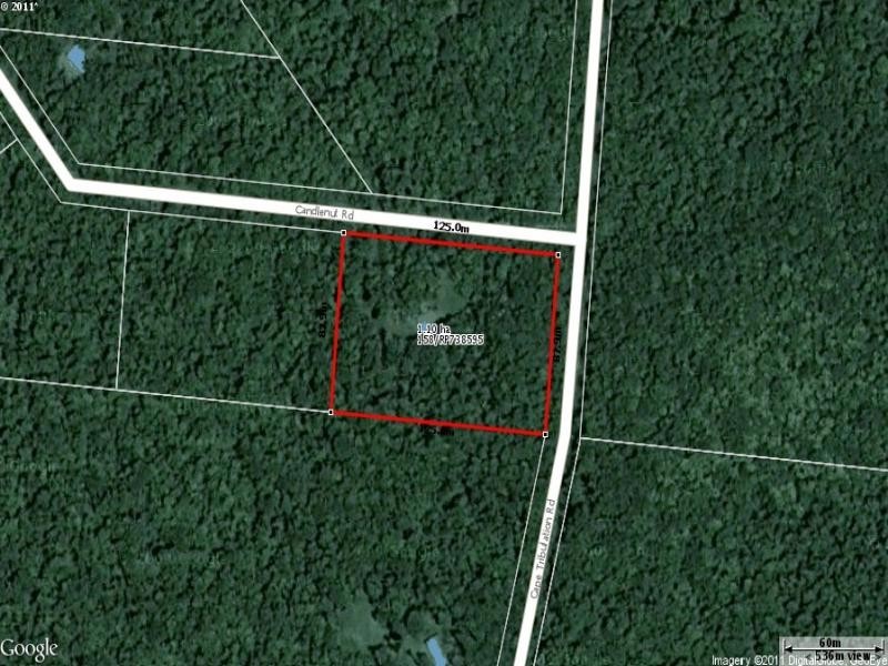 158 Candlenut Road, Daintree QLD 4873