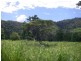 Daintree QLD 4873