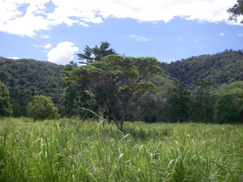 Daintree QLD 4873