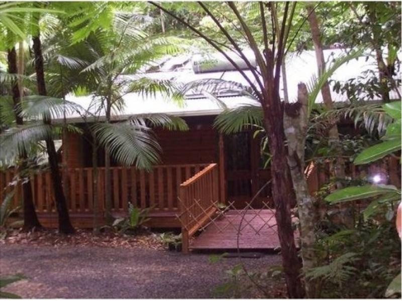 460 Black Bean Road, Cow Bay QLD 4873
