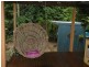 Lot 418 Maple Road, Daintree QLD 4873