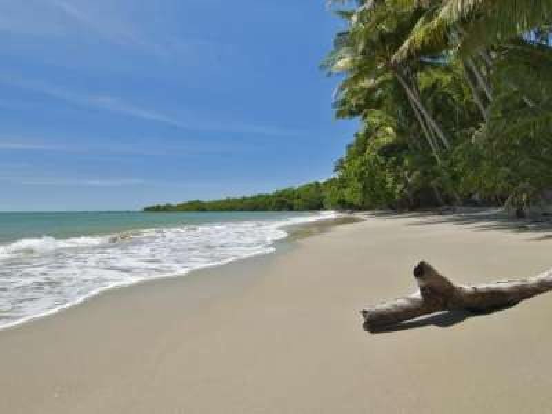 11 Cape Tribulation Road, Cape Tribulation QLD 4873