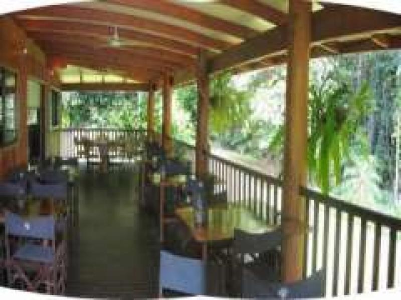 9 Camelot  Close, Cape Tribulation QLD 4873
