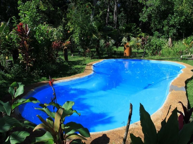 177 Cedar Road, Daintree QLD 4873