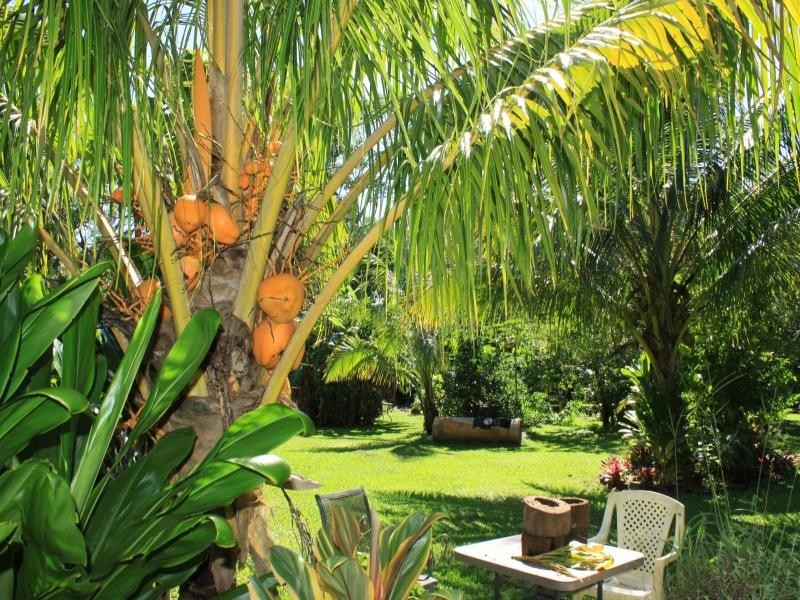 177 Cedar Road, Daintree QLD 4873