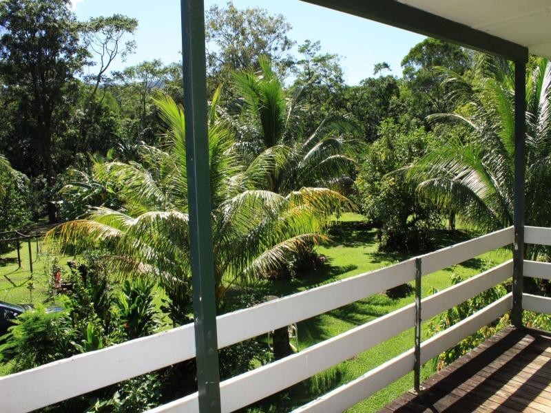 177 Cedar Road, Daintree QLD 4873