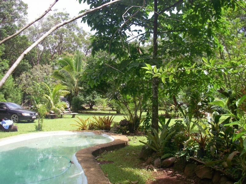 177 Cedar Road, Daintree QLD 4873