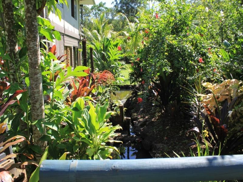 177 Cedar Road, Daintree QLD 4873