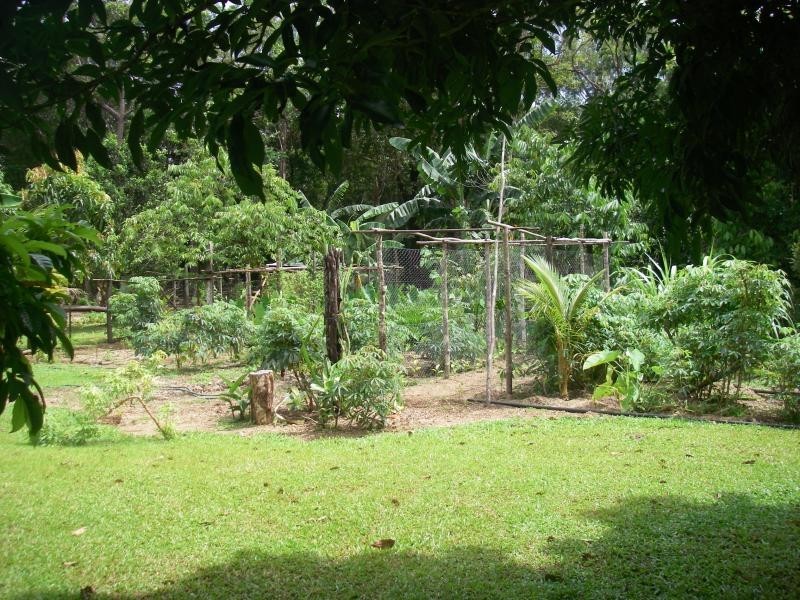 177 Cedar Road, Daintree QLD 4873