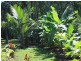 177 Cedar Road, Daintree QLD 4873