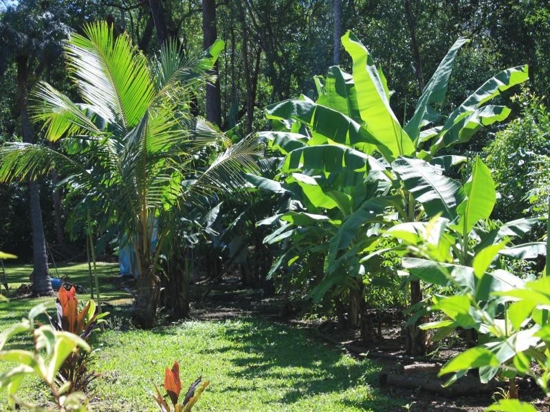 177 Cedar Road, Daintree QLD 4873