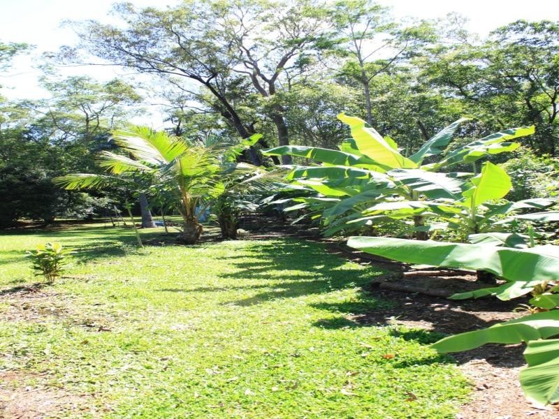 177 Cedar Road, Daintree QLD 4873