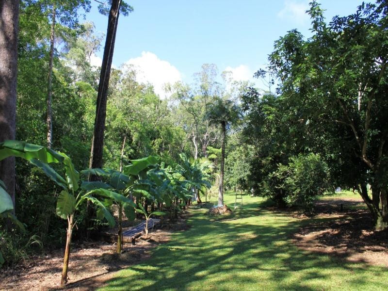 177 Cedar Road, Daintree QLD 4873